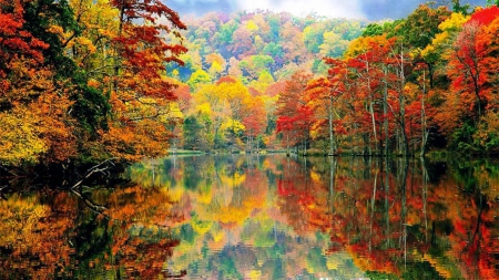 Fall Season - nature, lake, trees, reflection, fall season