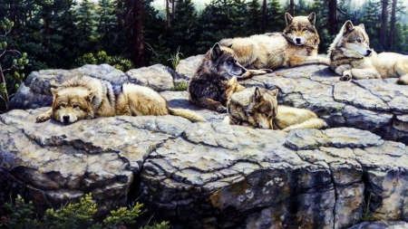 Harmony - wolfpack, painting, wolves, artwork, peaceful, resting, rocks