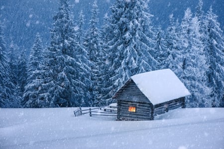 Winter - hut, landscape, snow, winter, tree, house