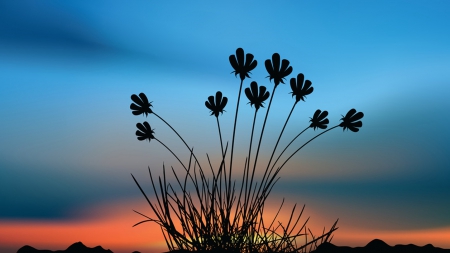 Wild Flowers - flowers, sky, wild, nature