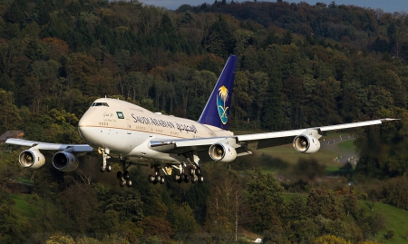 Landing - great, boeing, plane, trees