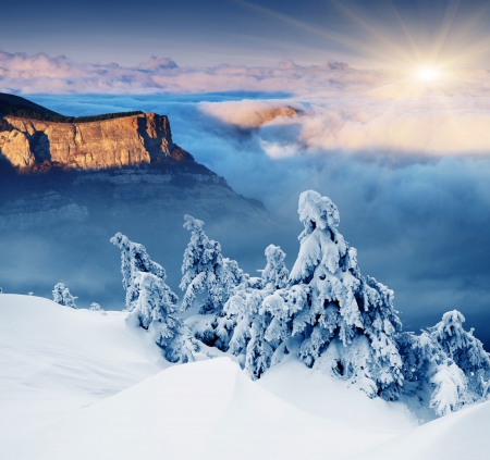 Winter - nature, mountain, snow, winter, tree