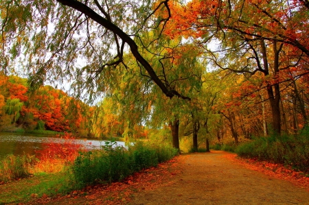 Autumn By The Lake - trees, Autumn, water, Fall, bushes, forest, path, lake, walkway