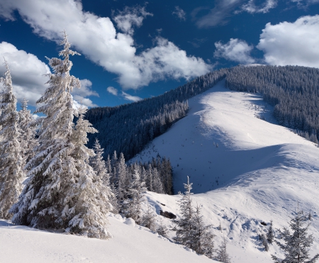 Winter - snow, winter, mountains, tree