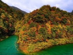 Autumn Forest and Lake