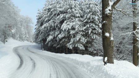 White Winter Road - roads, winter, nature, snow