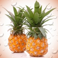 Two Pineapple