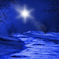 ~*~ Winter Night ~*~