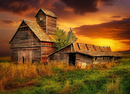 Grain And Pig Barns - grain, golden sky, sunset, field, north dakota, clouds, beautiful, grass, old