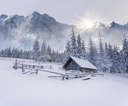 Winter - hut, sun, snow, winter, tree, mountains