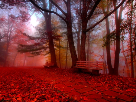 Rest in autumn park - trees, autumnm, colorful, park, bench, path, lovely, mist, foliage, fall, walk, red, beautiful, rest, relax