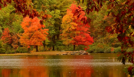 Reflections of autumn trees - autumn, lake, trees, shore, serenity, nature, fall, forest, reflection, tranquil, river, beautiful