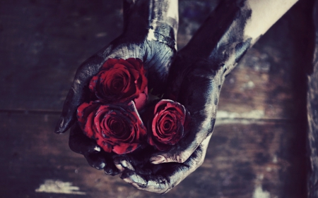 There is beauty - red, flower, hand, rose