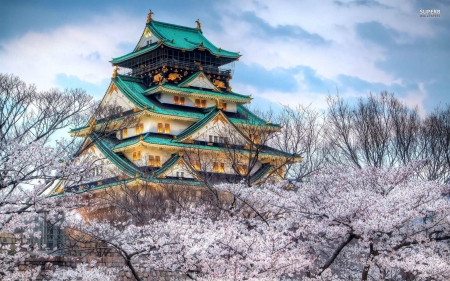 Osaka Castle in Japan - japan, architecture, castles, osaka castle