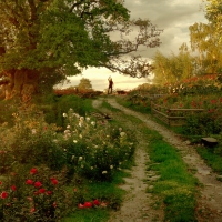La Belle et la Bete (2014)