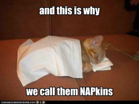 NAPKINS - CUTE, KITTEN, NAPKINS, LITTLE