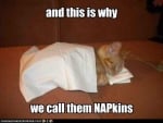 NAPKINS