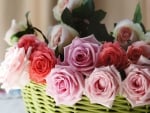 Basket of Roses