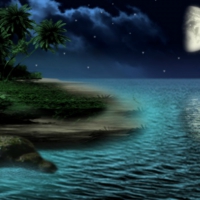 ~*~ Island Night ~*~