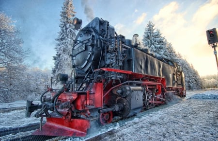 Locomotive Steam - winter, locomotive, steam, trees