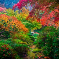 Rainbow Touch At Portland Gardens