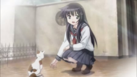 Aika Rika - nice, beauty, female, akiba rika, anime girl, black hair, pretty, anime, cute, cat, girl, kitty, long hair, aadorable, lovely, kitten, school uniform, kawaii, hanbun no tsuki ga noboru sora, beautiful, sweet, uniform