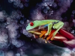 GREEN FROG ON PURPLE BACKGROUND