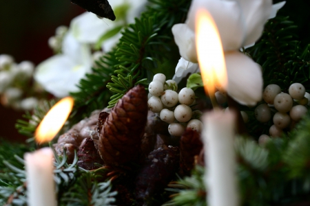 In the spirit of Christmas - magic, candles, time, christmas, of, spirit, fir, cones, tree, lights