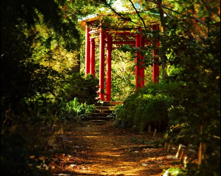 Enchanted Forest - nature, forest, gazebo, trees