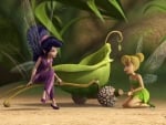 Vidia and Tinker Bell