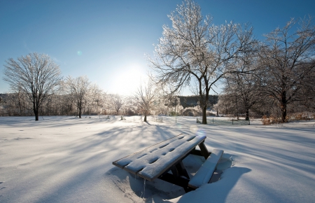 Winter Park on Sunny Day