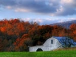 Barn and Autumn Trees