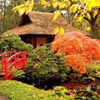 Autumn In Japan