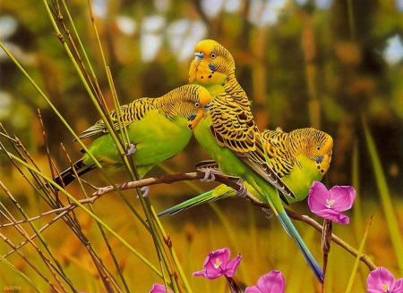 Birds - flowers, birds, nature, beautiful