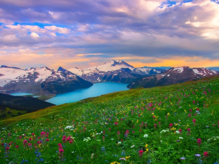 Garibaldi Provincial Park, Canada - sky, british columbia, snowy peaks, sunset, field, mountains, lakes, beautiful, clouds, flowers, wildflowers