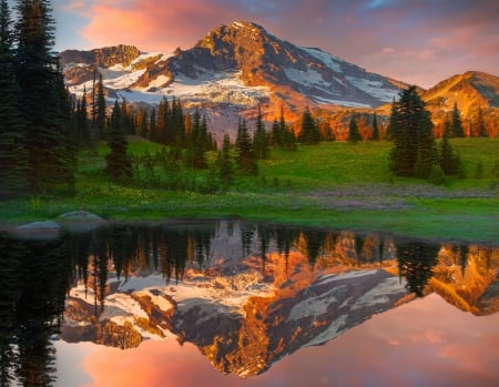 Mountain Reflections - mount rainier, lake, national park, snowy peaks, sunset, meadows, washington, forest, beautiful, wildflowers