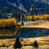 Autumn Lake and Trees