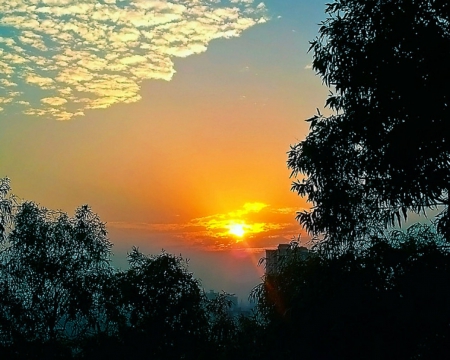 Beautiful Sunset - nature, sky, sunset, trees