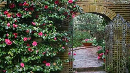 Archway and Pink Roses - photography, archway, pink roses, abstract