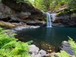 Forest Waterfall