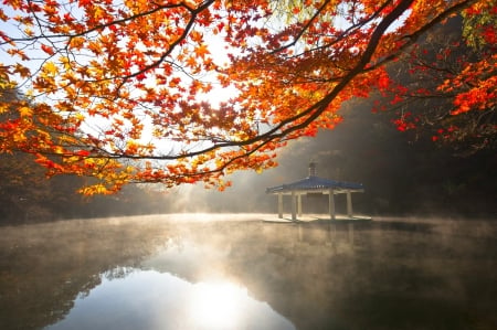 Morning Fall - lake, autumn, reflection, forest, beautiful, morning view