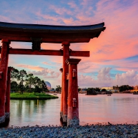 Torii Gate