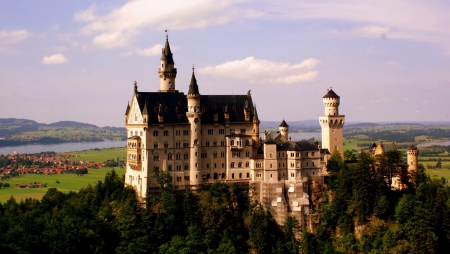 Neuschwanstein Castle - castle, neuschwanstein, architecture, tree, grass, castles