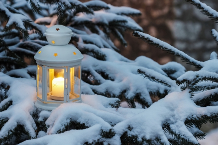 Beautiful Winter - winter, snow, candle, night, still life, lantern, tree, pine, cold