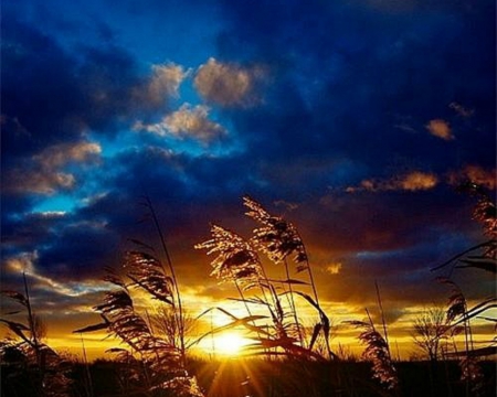 Sunset - sky, nature, sunset, clouds