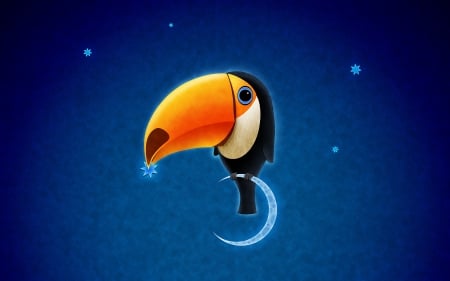 toucan - moon, toucan, star, bird