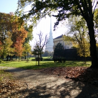 View of the Mole Antonelliana from Royal Gardens