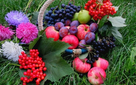 Basket of Friuts