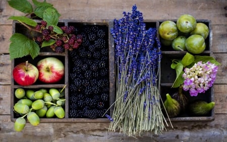 Fruits & Herbs - nuts, herbs, food, berry, photo, nature, lavander, fig, violet, apple, fruits