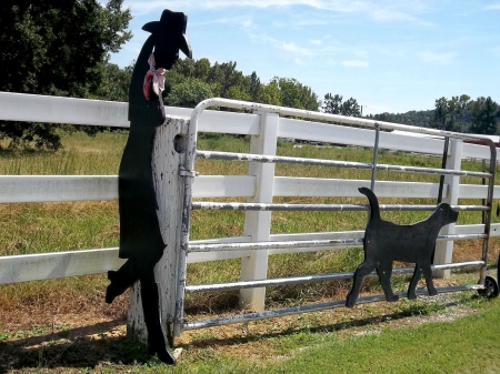 Abstract Cowgirl - style, western, statue, fences, ranch, cowgirls, outdoors, fun, dog